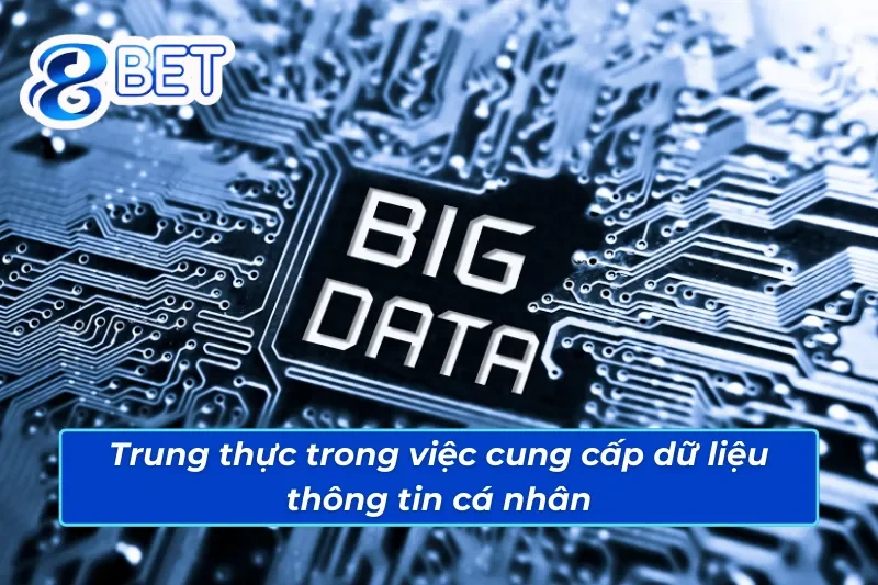 Trách nhiệm trung thực trong việc tuân thủ chính sách của nhà cái