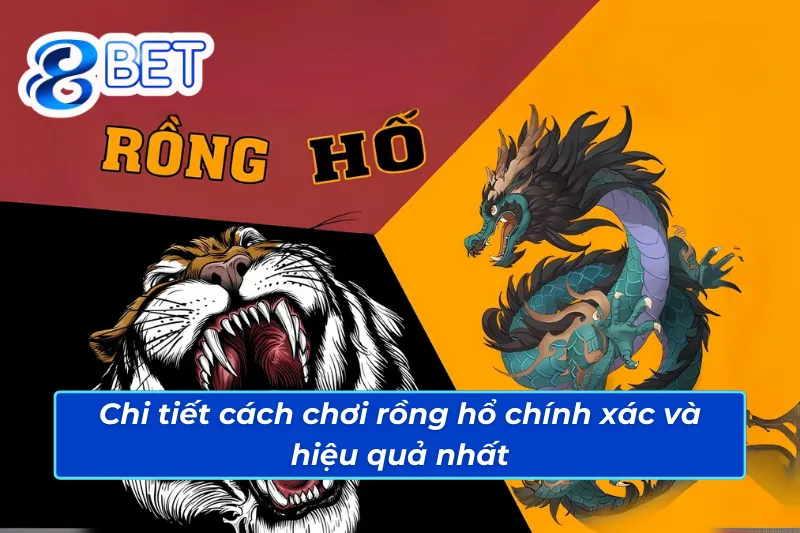 Hướng dẫn cách thức chơi rồng hổ 88Bet